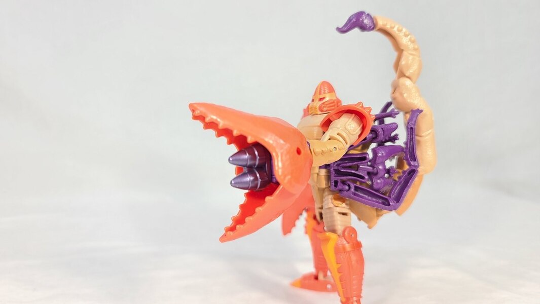 TF Collector Legacy Sandstorm Review  (8 of 10)